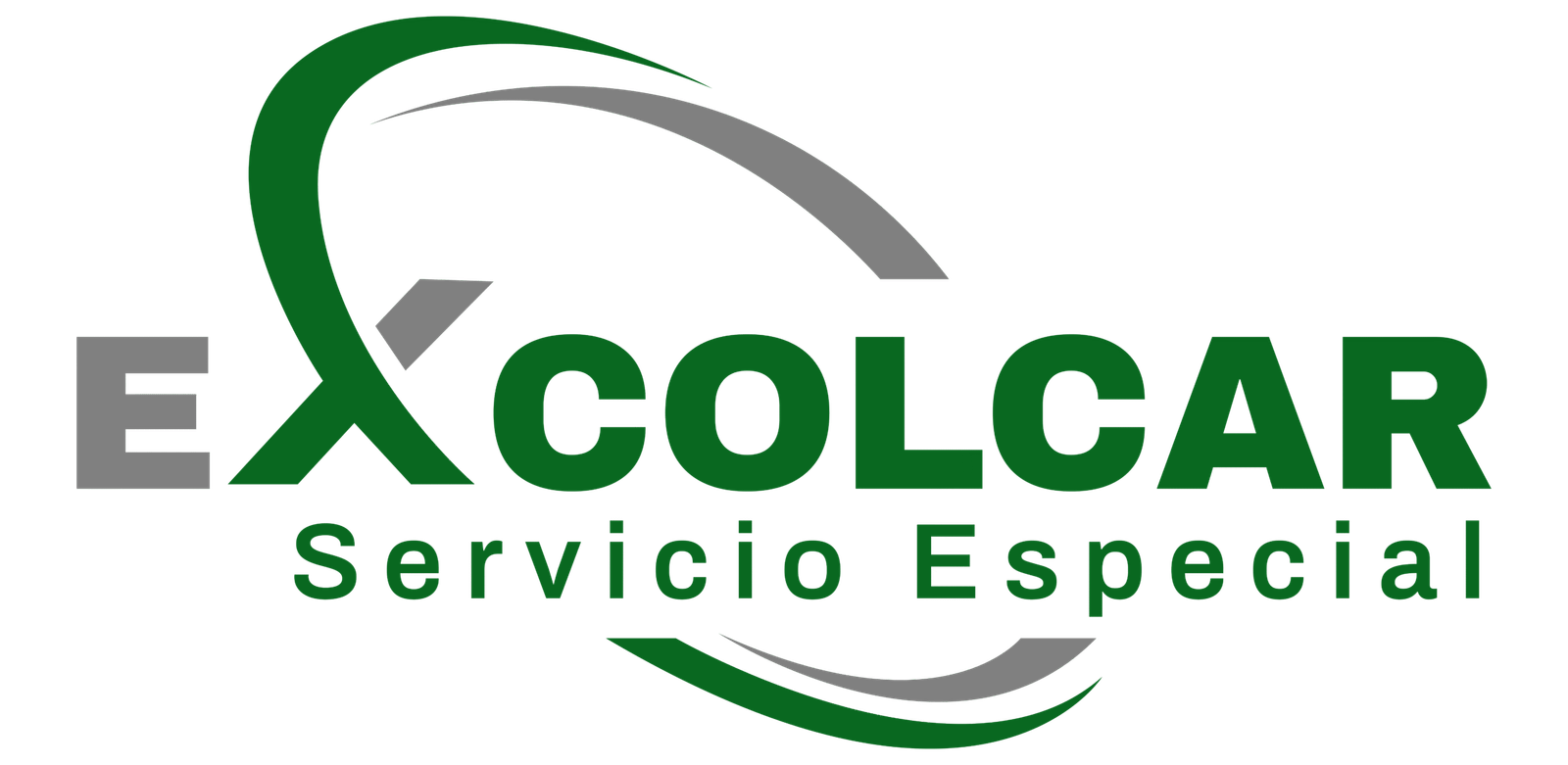 logo de servicio especial-05